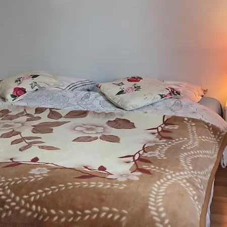 Homestay Goscinne Edan Leba